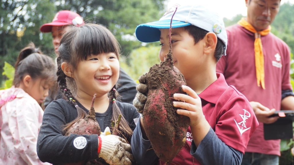 秋の実りのサツマイモ。自然体験で収穫の喜び